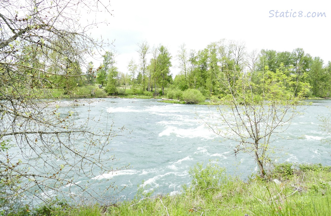 Looking across the Willamette River