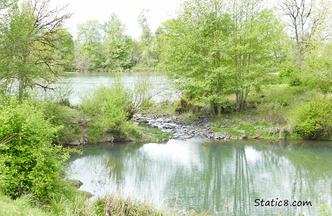 Spillway between the Willamette and the Delta Ponds