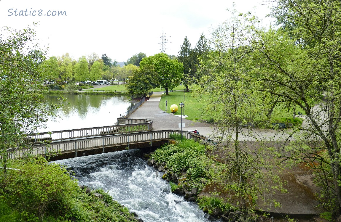 Looking down into Alton Baker Park