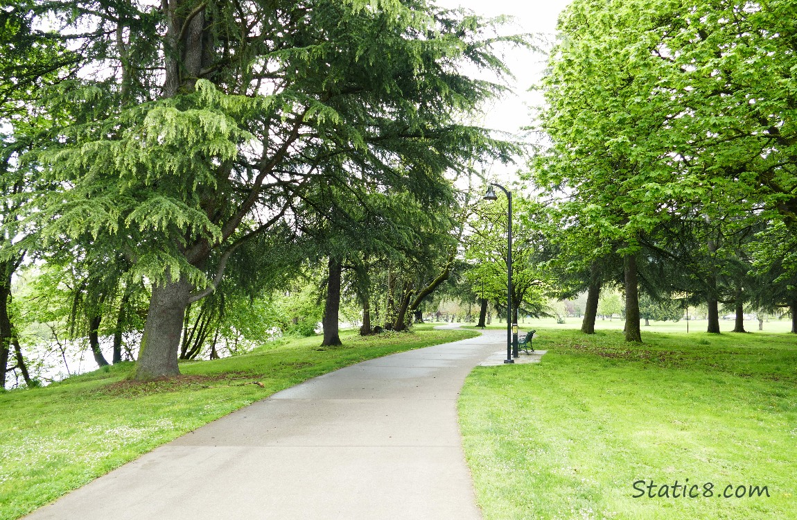 Ruth Bascom Riverbank path