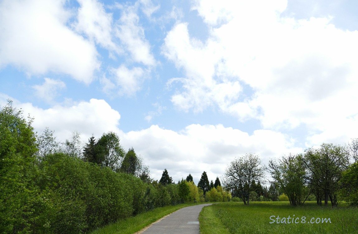 White puffy clouds in the blue sky