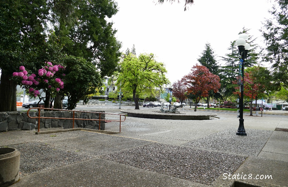 View of the courthouse from the Park Blocks