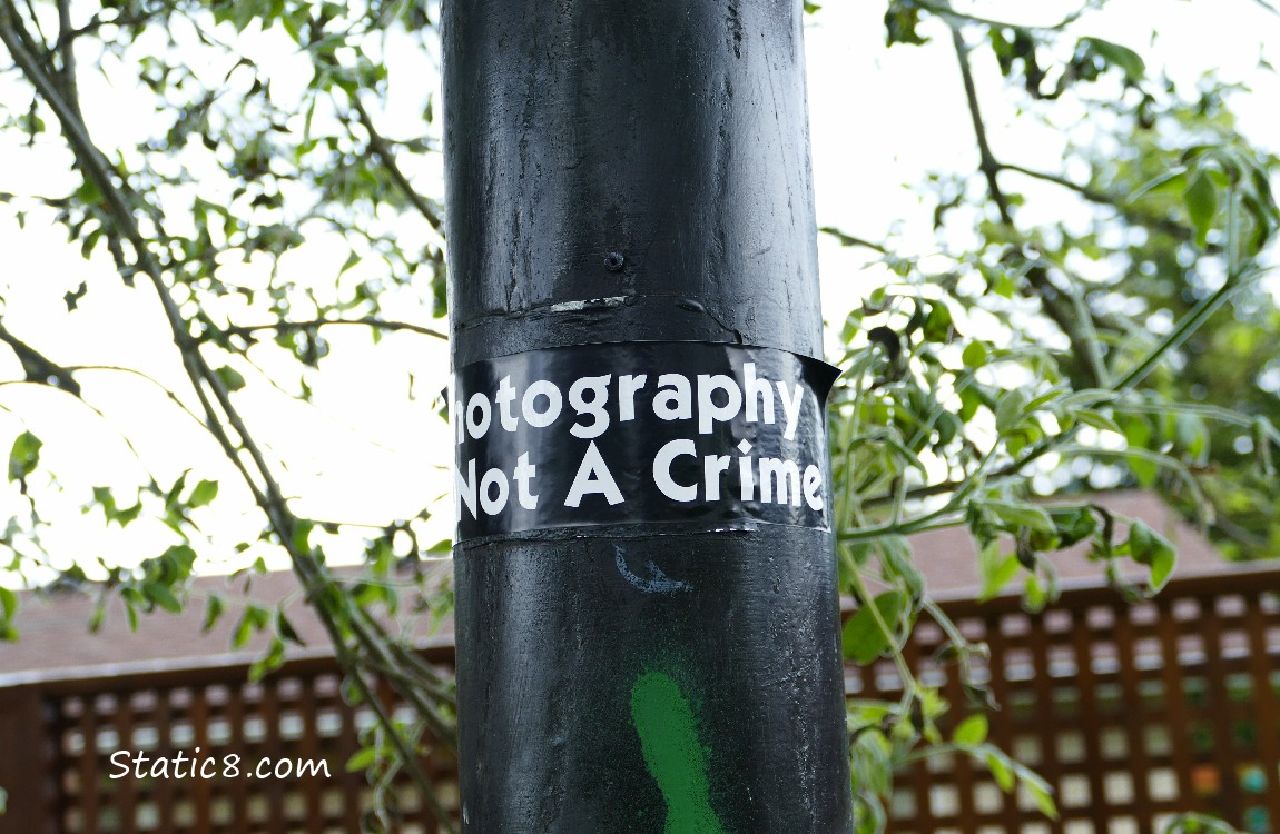 Bumper sticker on a pole