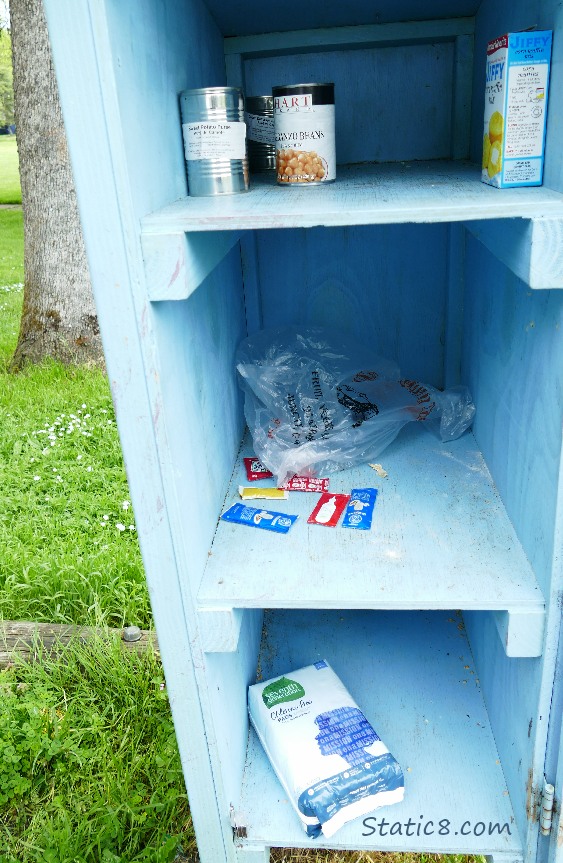 The inside of a Little Free Pantry, not much in it.