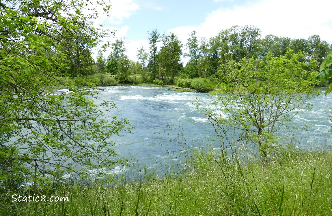 Looking across the Willamette River