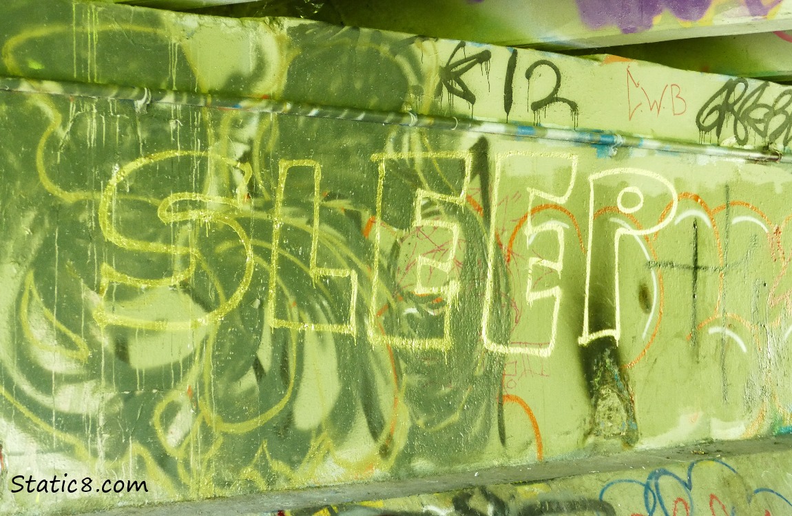 Graffiti says SLEEP