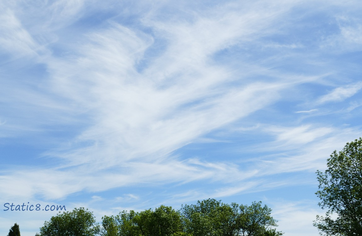 Cirrus Clouds