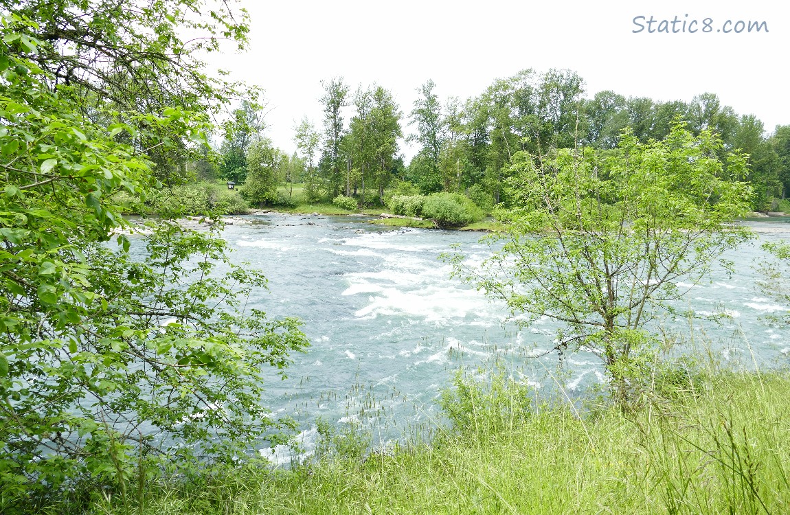 Looking across the Willamette River