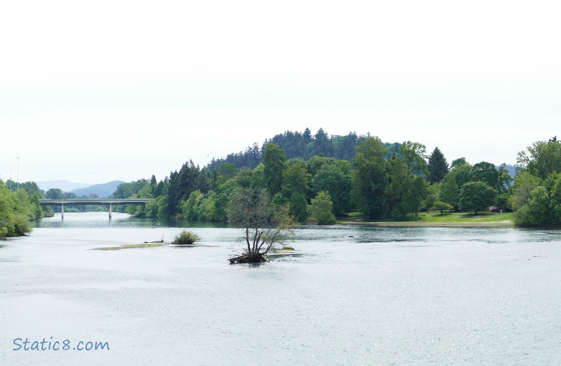 Willamette River seen from Greenway walking bridge