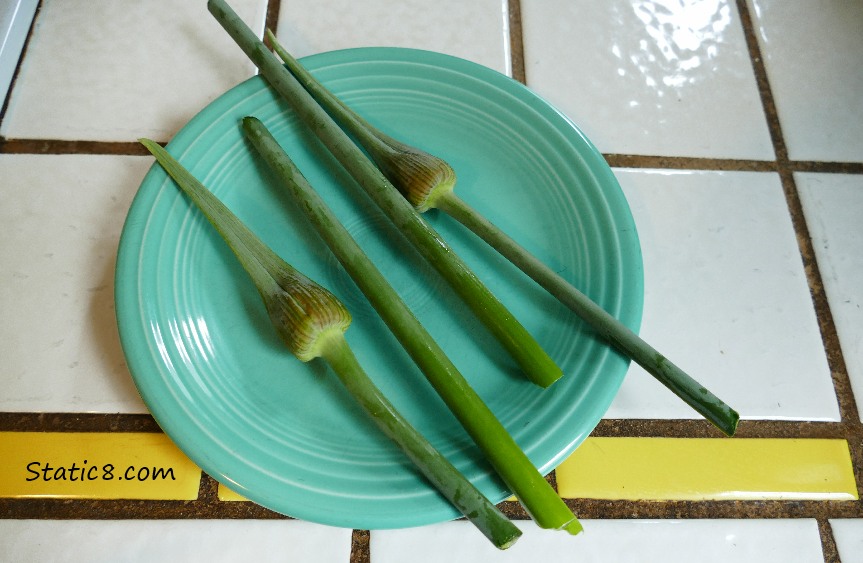 two cut garlic buds on a plate