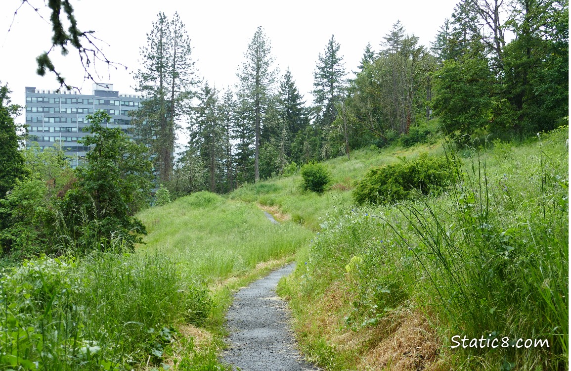 A large building in the background of a hiking trail