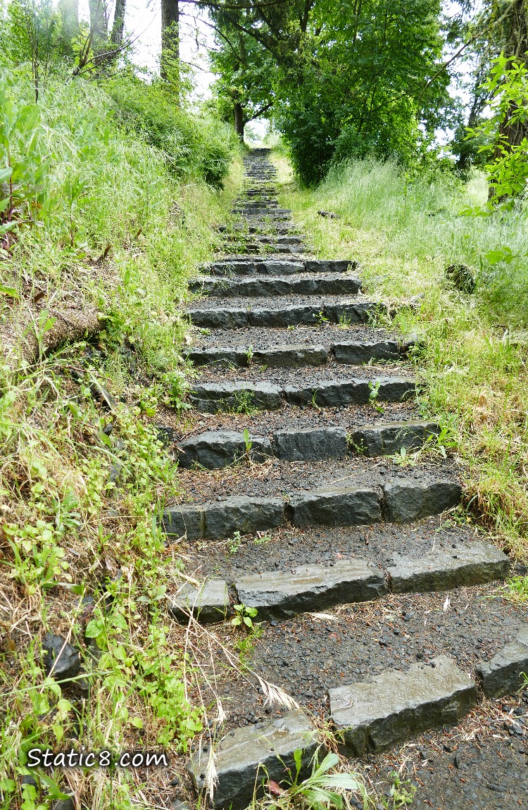 Stone stairs going up the hill