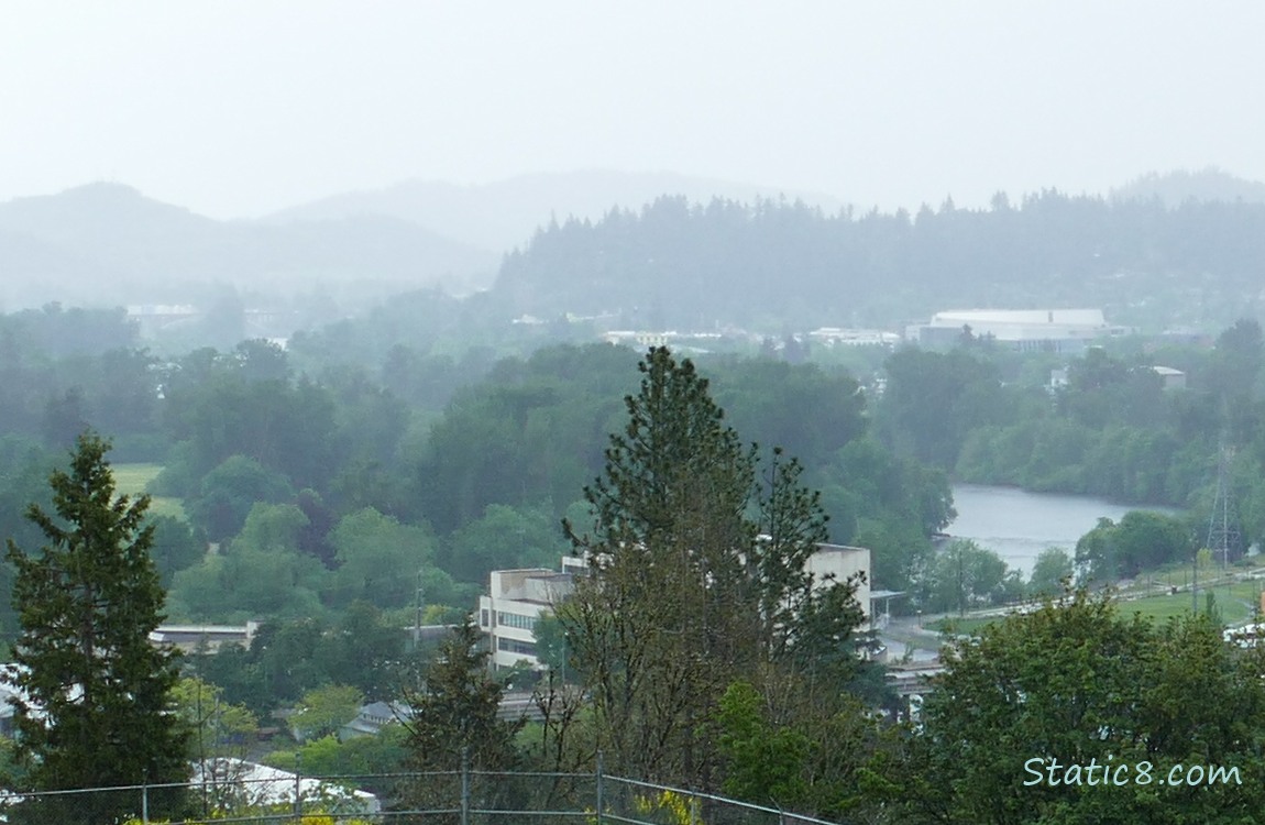 View from the summit of Skinner Butte