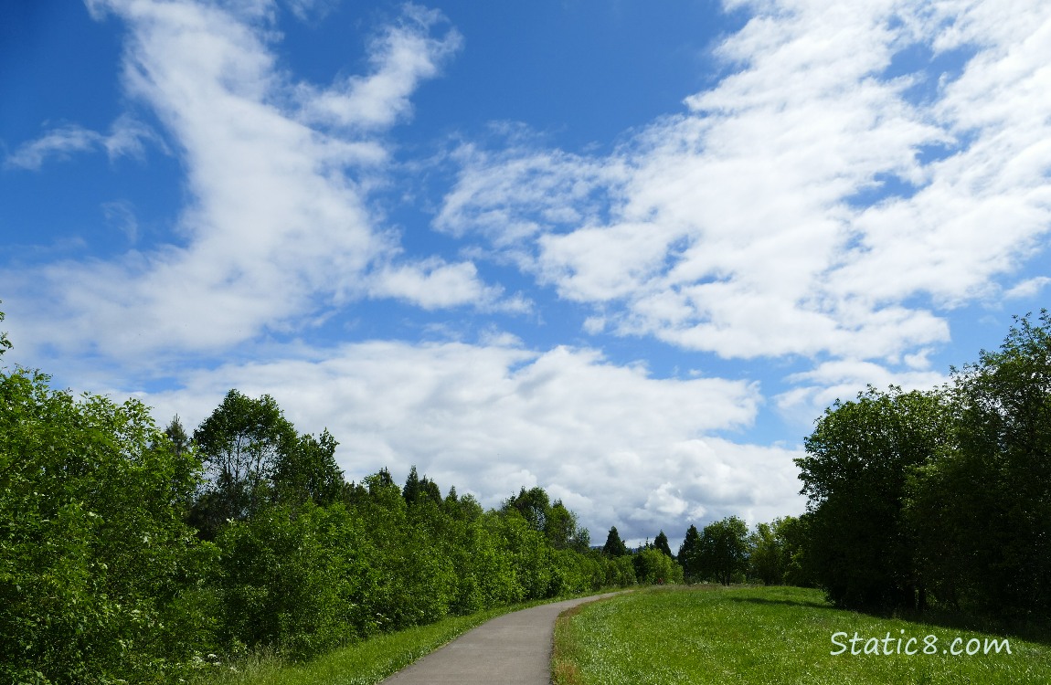BLue sky with a few clouds over the bike path