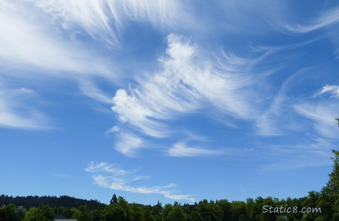 Sky with cirrus clouds