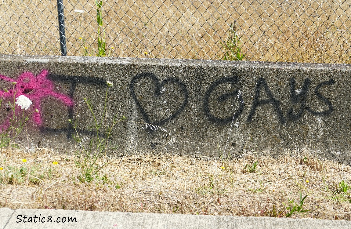 Graffiti, I heart gays