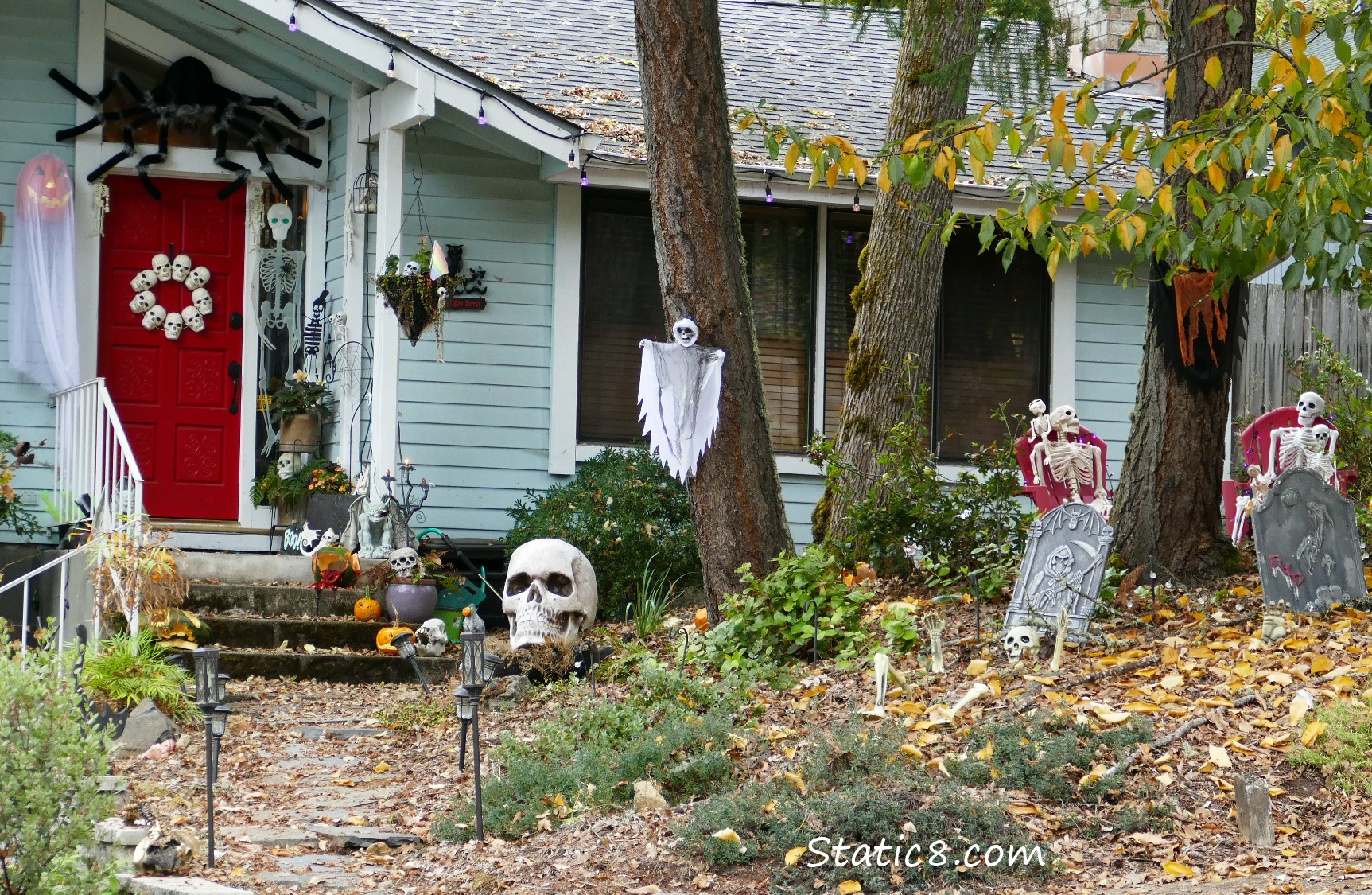 Halloween decorations, Skeletons