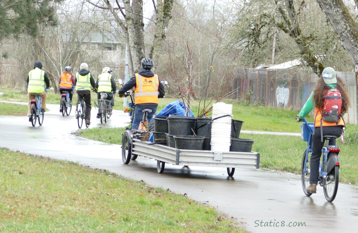 Six people on bicycles, one towing a trailer with pots of trees