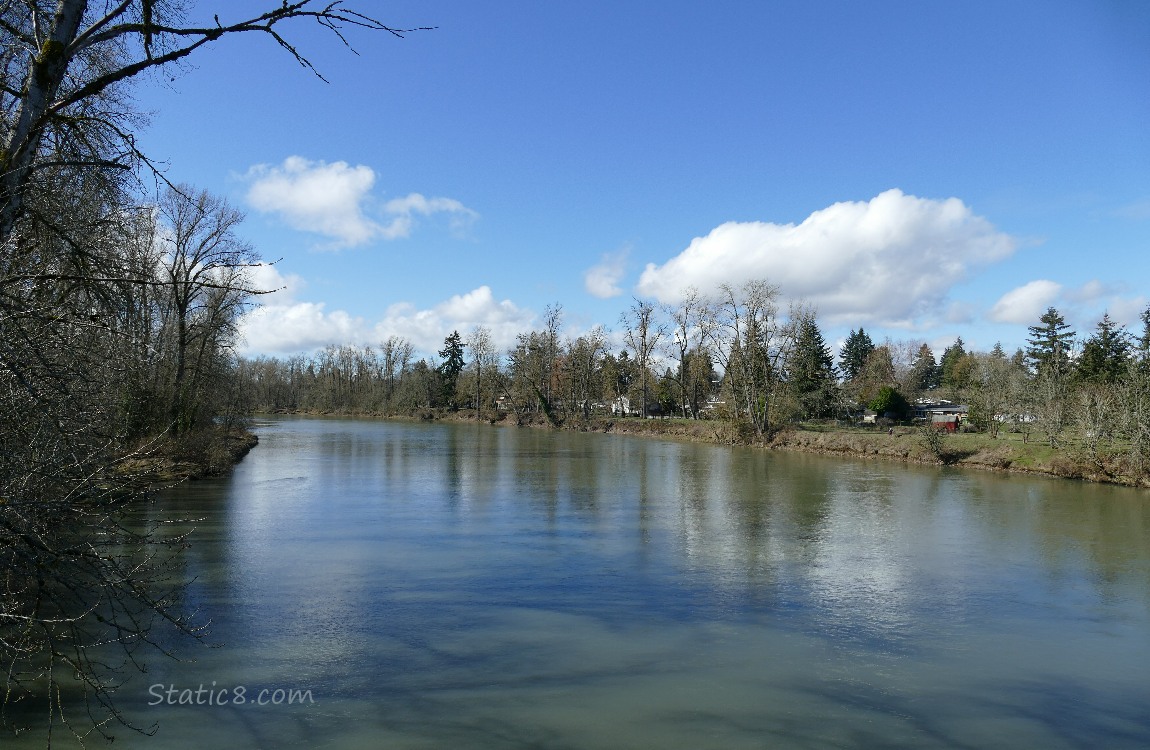 Looking up river, blue sky and puffy white clouds