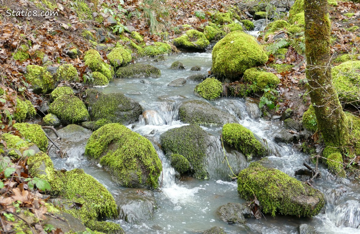 Water falling around moss covered rocks
