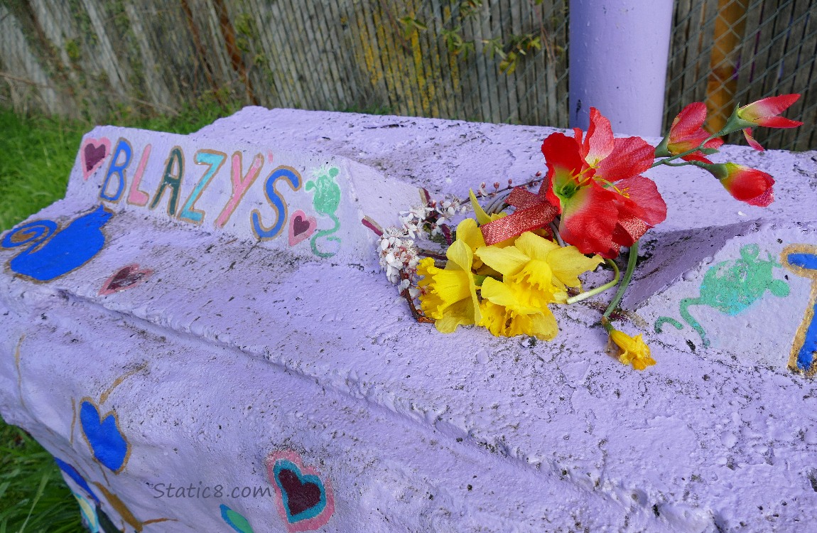 Flowers left on a purple stand painted Blazeys Throne