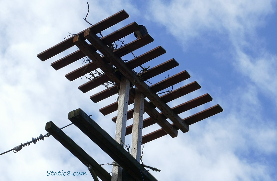 Looking straight up at the platform with just a couple of sticks
