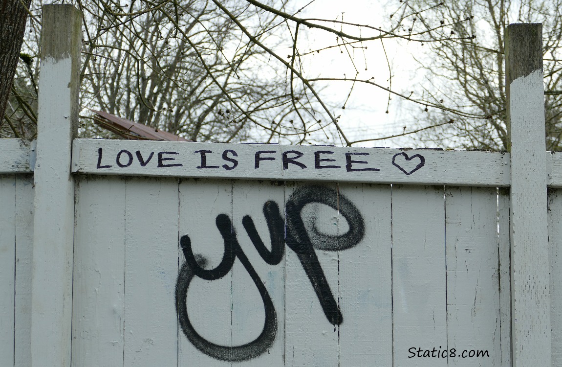 Graffiti on a wood fence, love is free