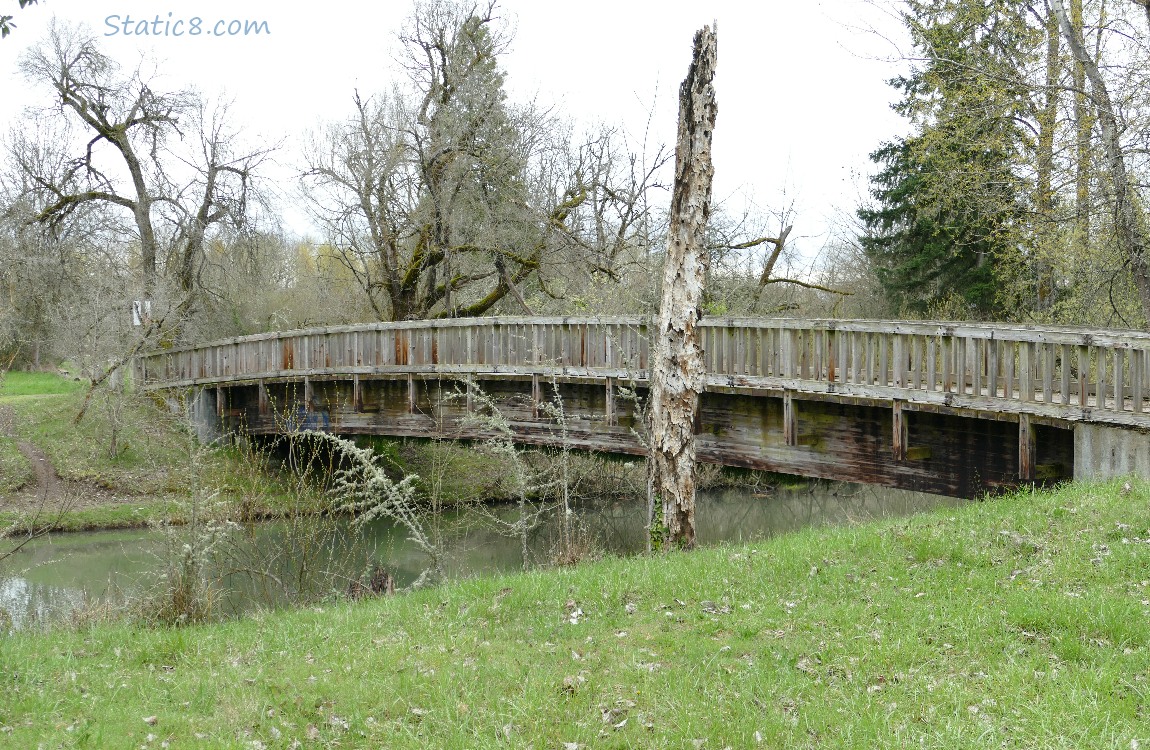 wooden bridge going over a canal