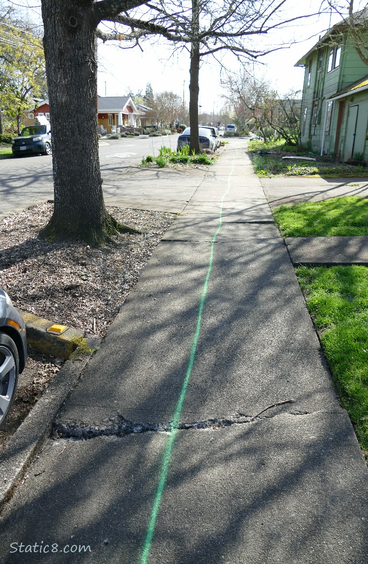 Neighborhood sidewalk with a green line spray painted