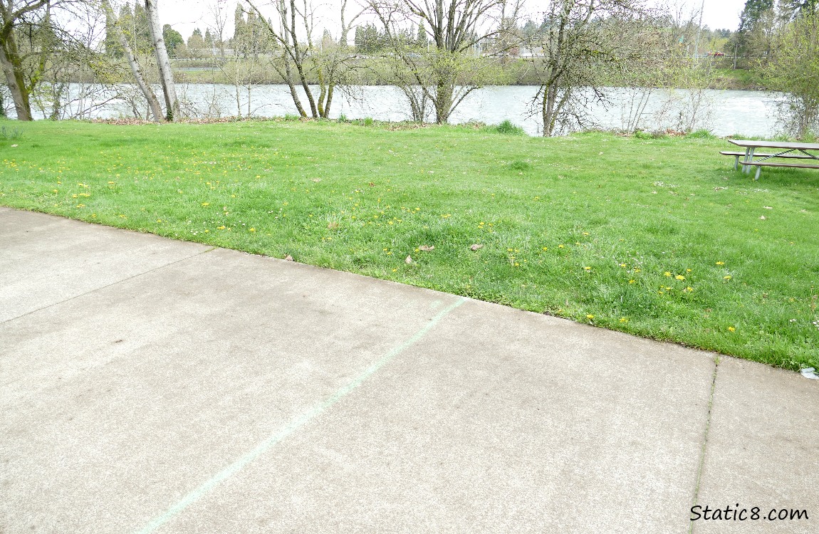 green line spray painted on sidewalk