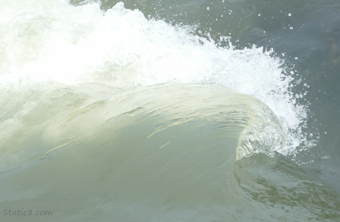 a wave in the river