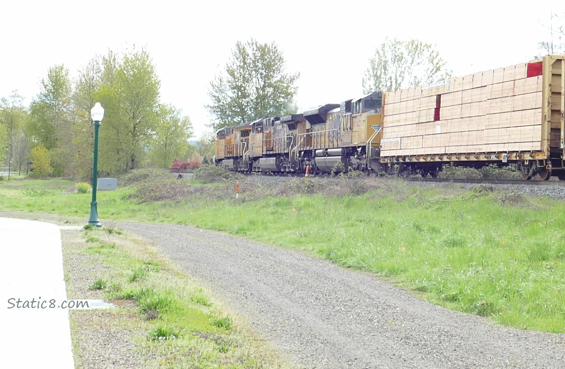 Train next to the path