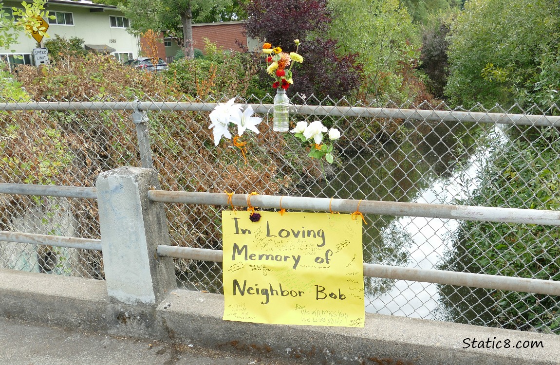 Hand written sign on a chain link fence, the creek in the background.  In Loving Memory of Neighbor Bob.
