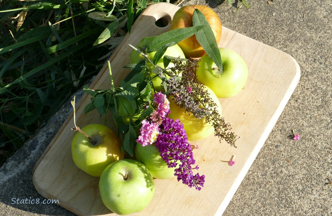 a cutting board at the edge of the bike path, with apples and flowers