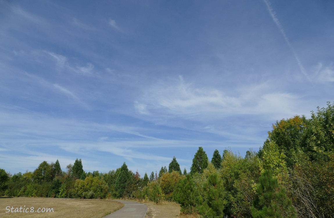 Blue sky with cirrus clouds over trees