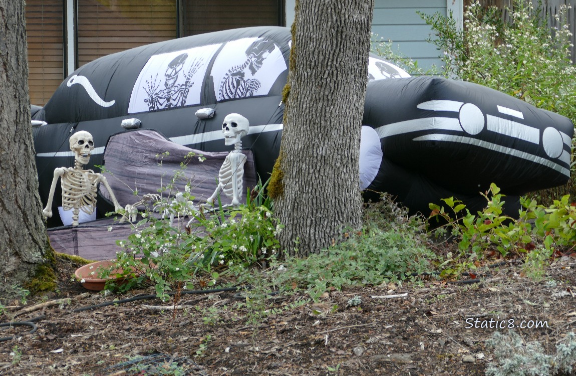 Halloween decorations, skeletons and a blowup hearse with skeletons driving