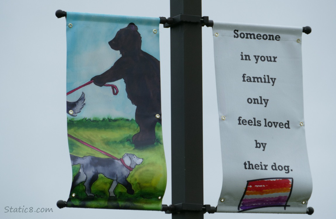Colourful banner