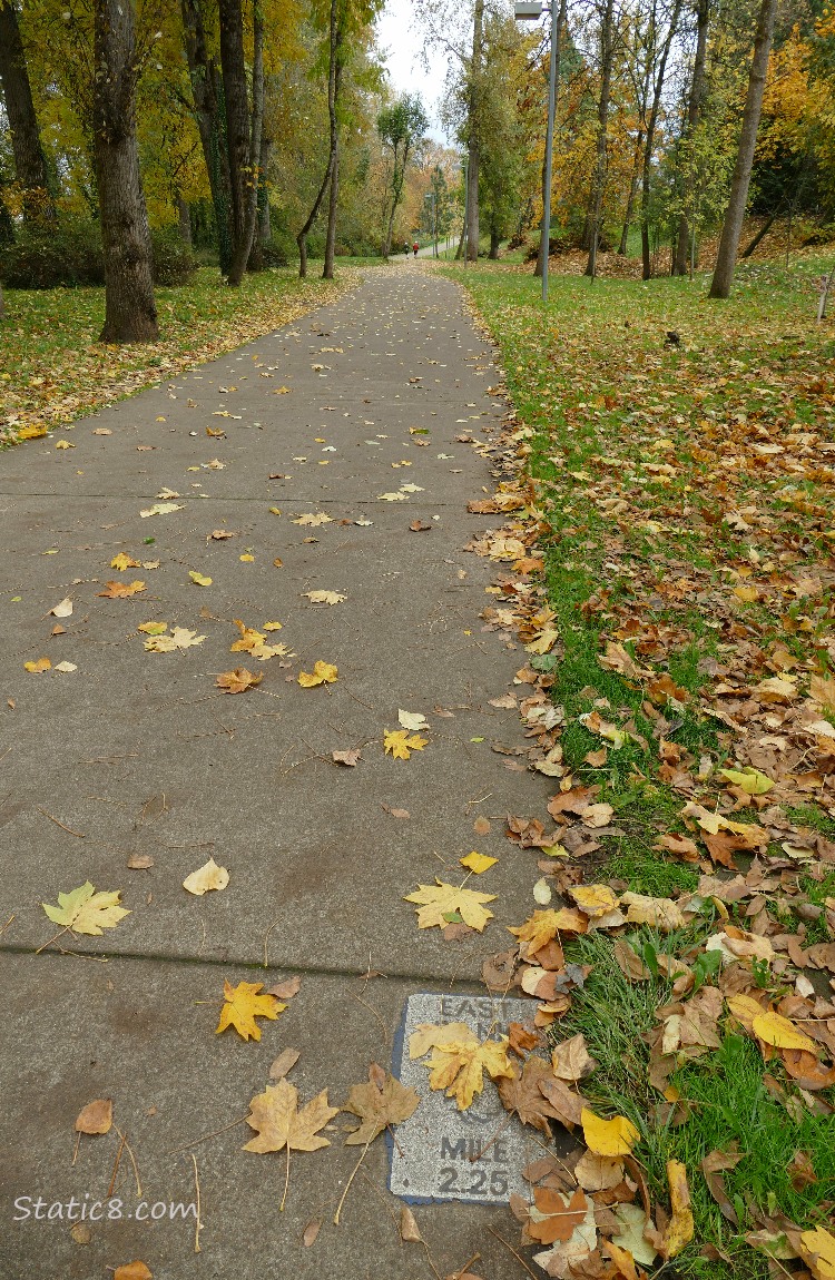 Trees lining the bike path, with a mile maker partially covered with fallen leaves