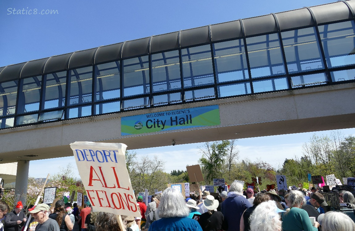 City Hall covered walkover with protesters below.  A protester sign says Deport All Felons