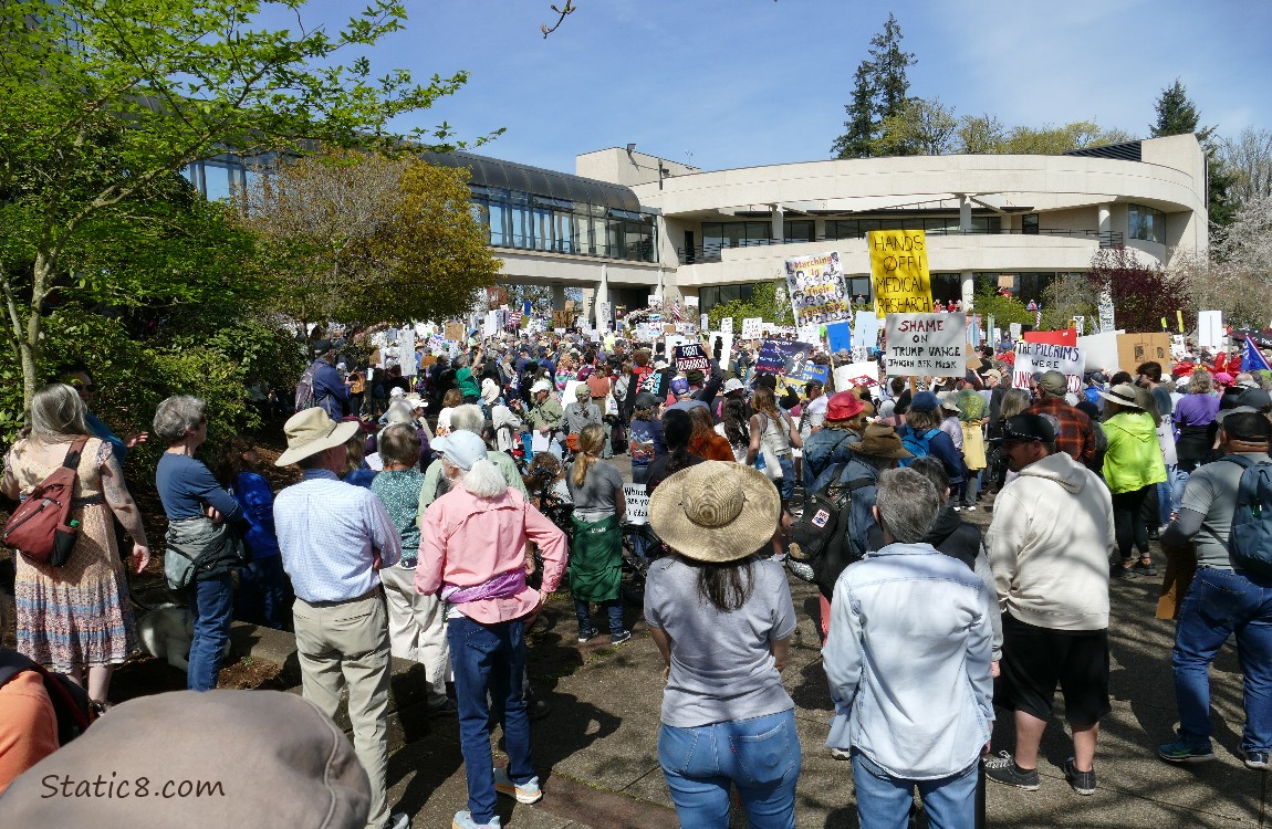 Eugene City Hall with hundreds of protesters!