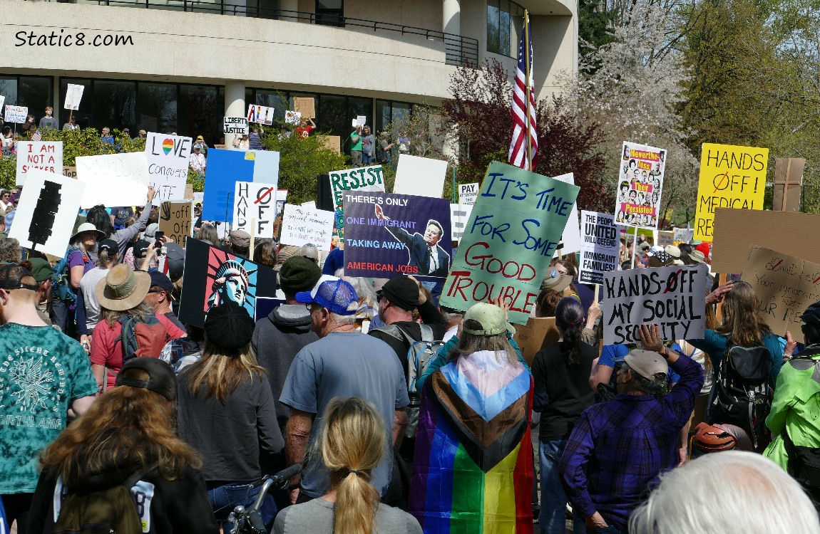 Protesters with many different signs