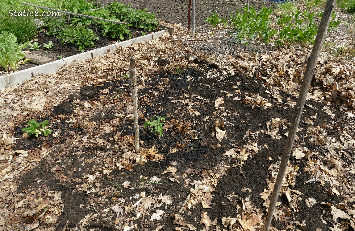 Garden plot