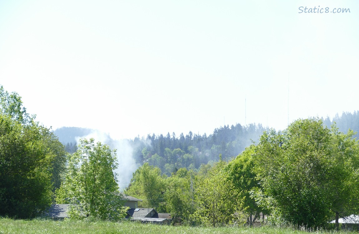 Smoke from a fire behind the trees with the hill in the distance