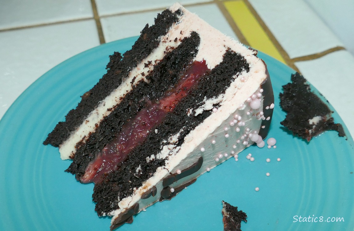 a cut piece of chocolate layer cake on a blue plate