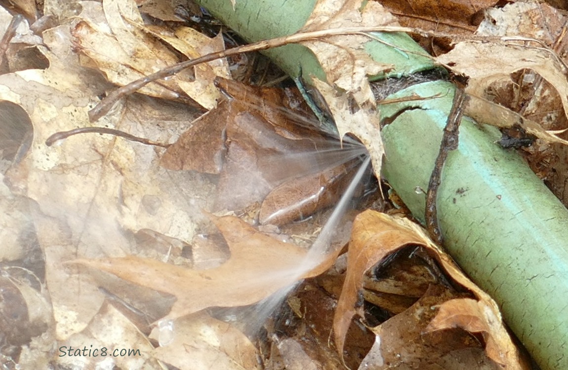 water spraying out of a leek in a green