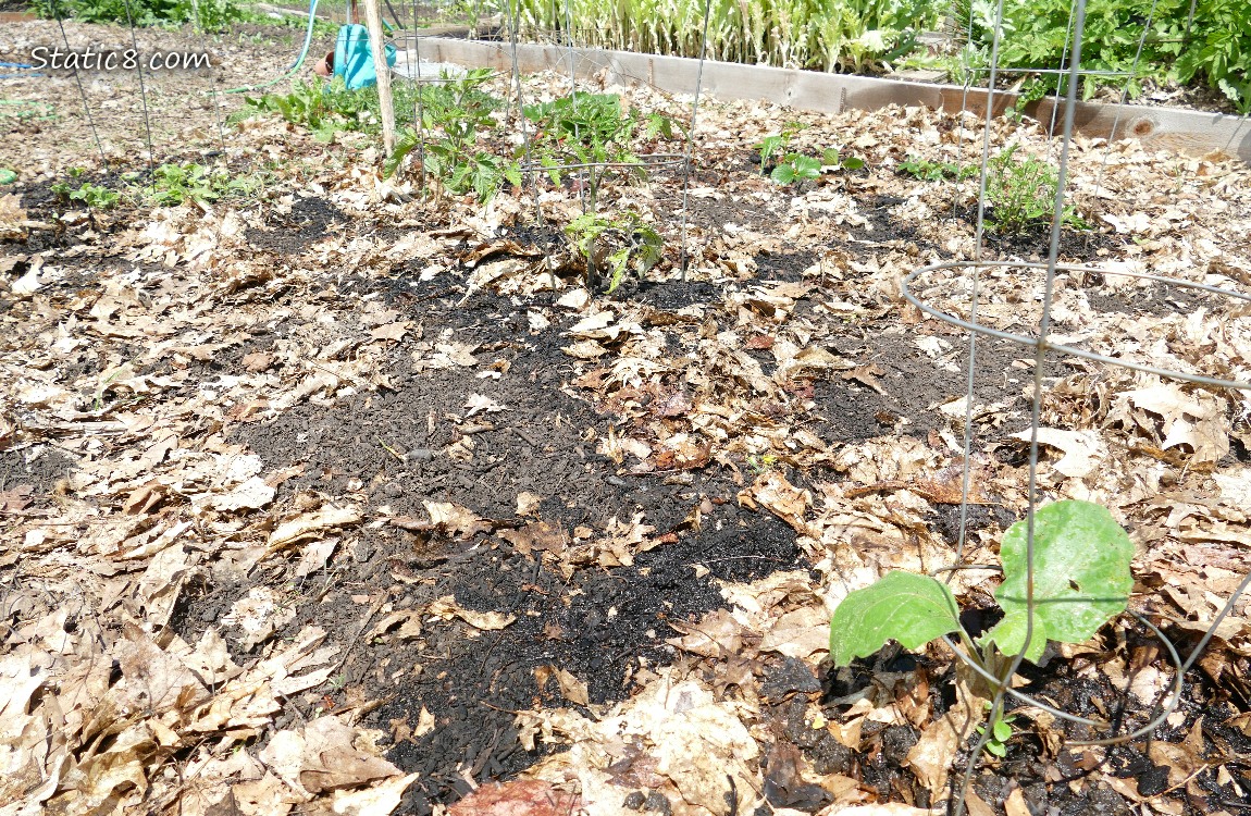 Garden plot