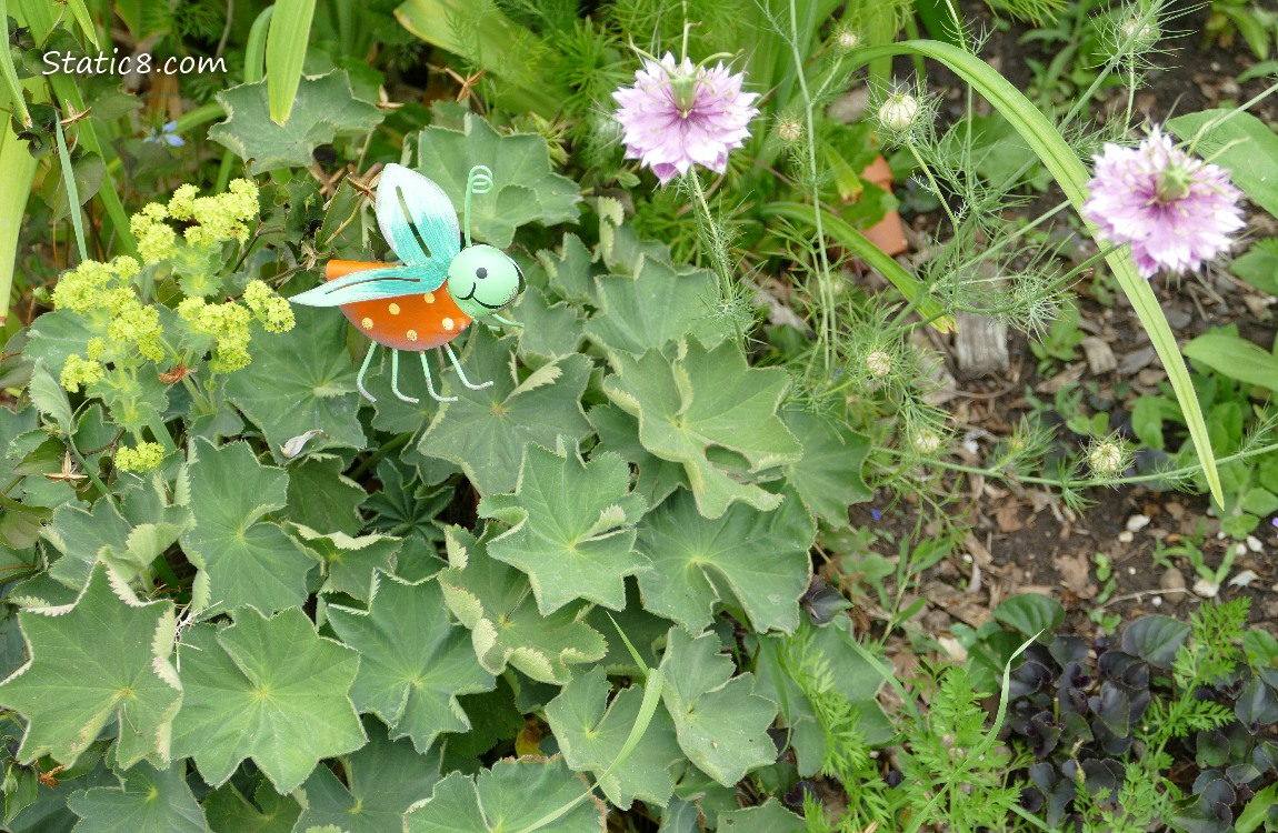 Bug decoration surrounded by garden plants