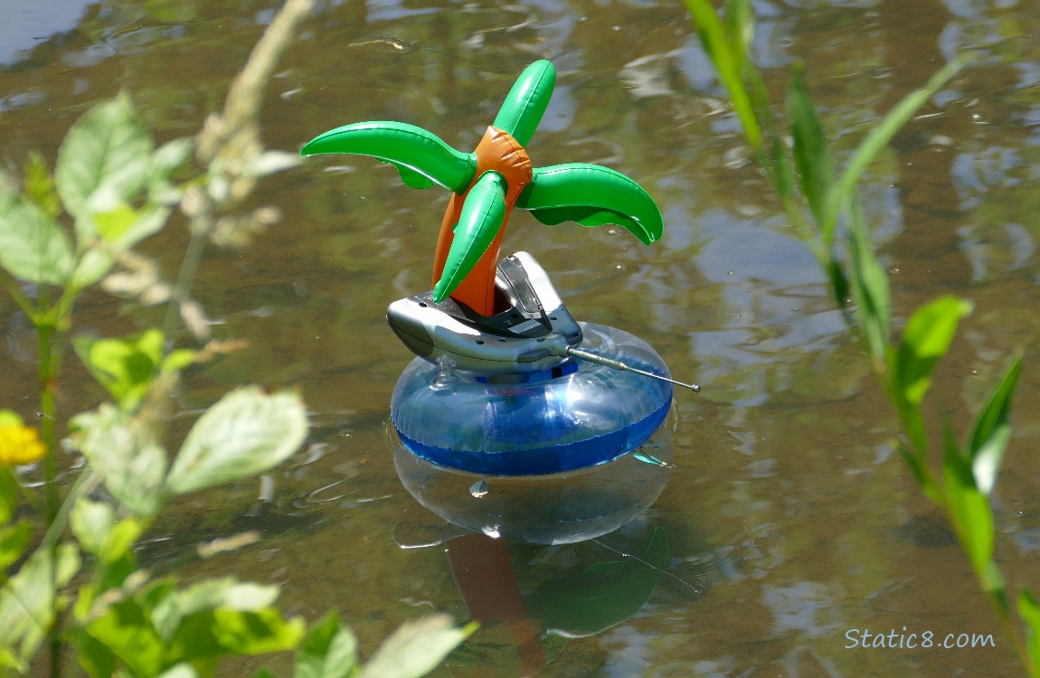 Pool float palm tree