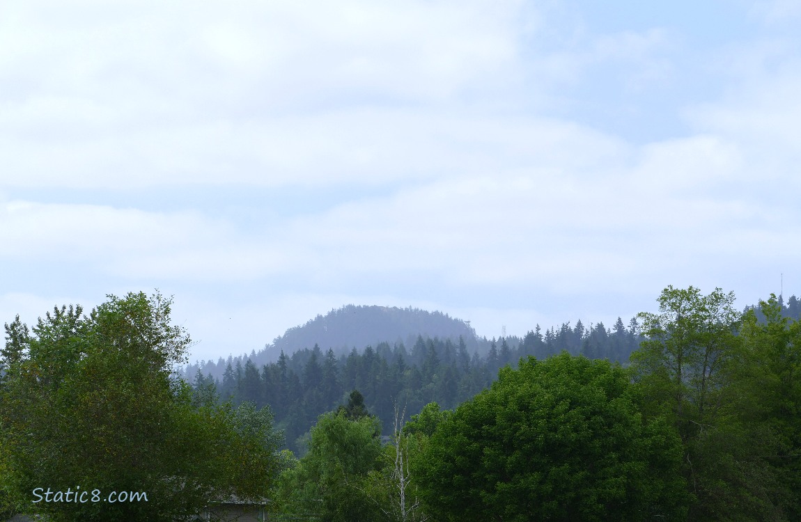 Trees on the hill, clouds and a bit of blue sky overhead