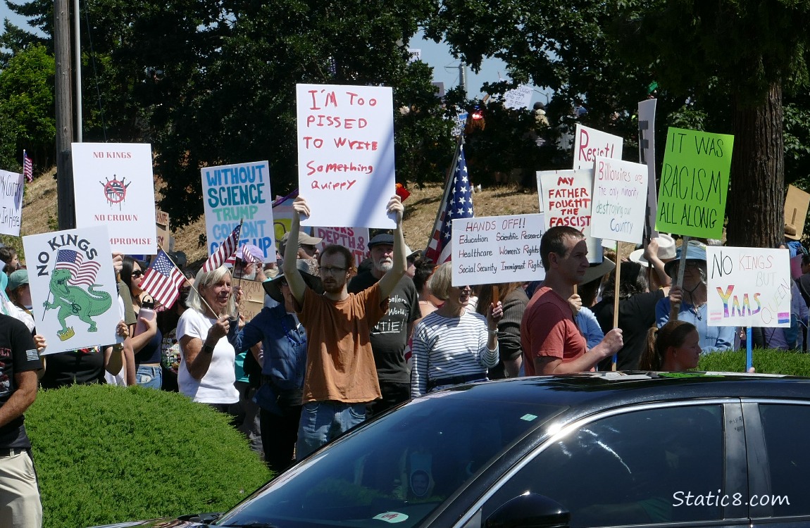 Protest